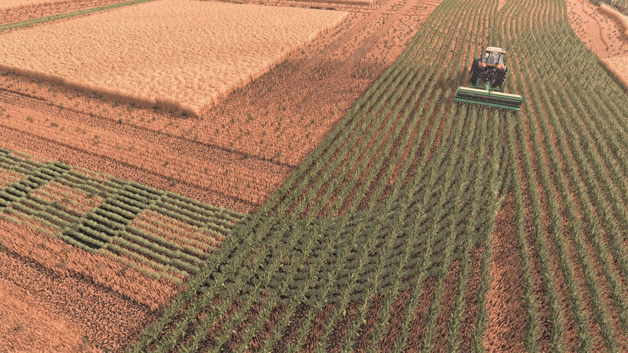 Row Crop System für Farming Simulator 25