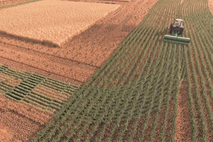 Row Crop System für Farming Simulator 25 — 3