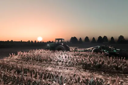 Row Crop System für Farming Simulator 25 — 5