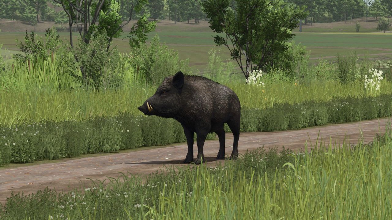 Realistic All-in-One Texture Pack — Quick Graphics Improvement for Farming Simulator 25