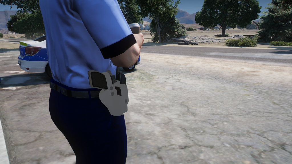 Odbiornik Carpati MD.74 Toc do GTA 5 — 2