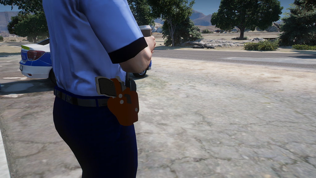 Odbiornik Carpati MD.74 Toc do GTA 5 — 3
