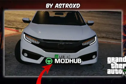 Pakistani Number Plates for GTA 5 — 3