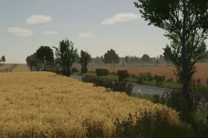 Карта Borowiny (beta) для Farming Simulator 25