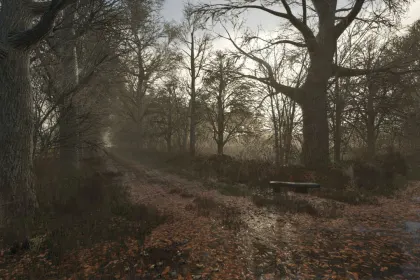 Атмосферний Placeable Weather Effects – Калюжі та Осіннє Листя для Farming Simulator 25 — 1