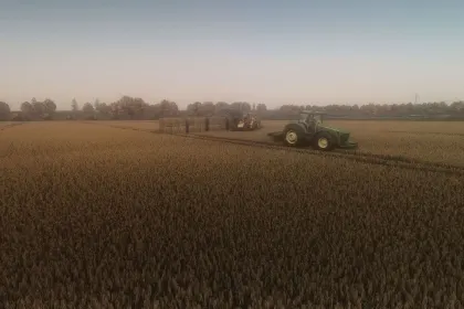 Стильний Shader Preset ReShade для Farming Simulator 25 — Нові Кольори та Кінематографічна Картинка