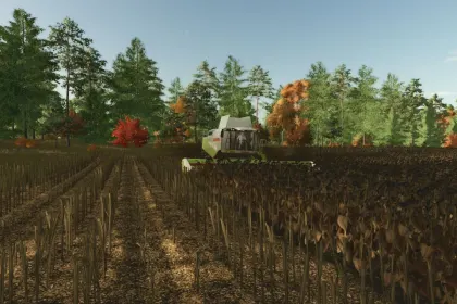 High-resolution texture of cut sunflower для Farming Simulator 25