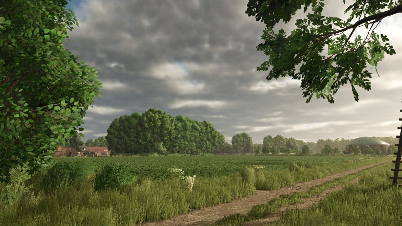 Legendary Map Diepholz 25 for Farming Simulator 25 — 42 Fields, New Crops and Precision Farming