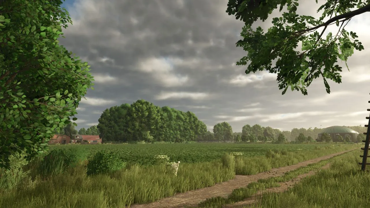 Legendarny Map Diepholz 25 do Farming Simulator 25 — 42 Pola, Nowe Uprawy i Precision Farming