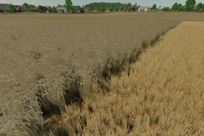 Realistic wheat texture do Farming Simulator 22