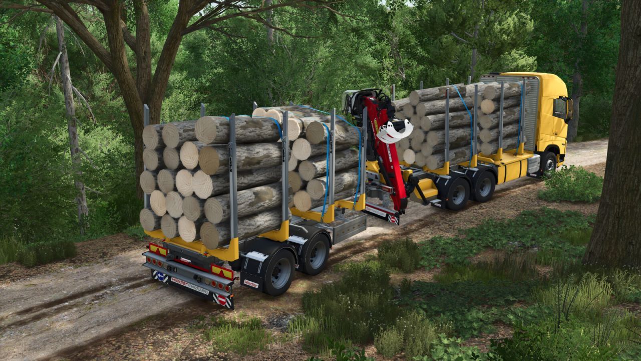 Przyczepa do transportu drewna Riedler RUZ220-L do Farming Simulator 25