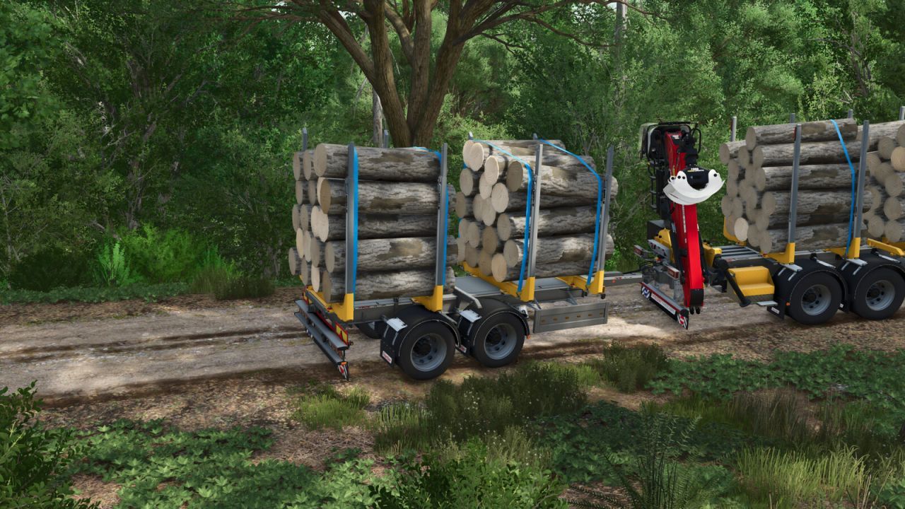 Przyczepa do transportu drewna Riedler RUZ220-L do Farming Simulator 25
