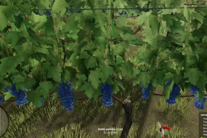 Realistisches Vine Harvest Hand Tool — Handernte von Trauben für Farming Simulator 25 — 2