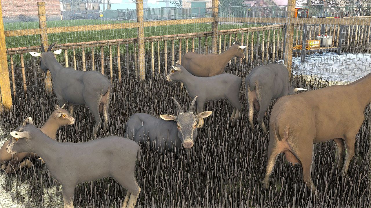 Neuer KAFENCO Shader für Farming Simulator 25 – Realistisches Bild und Atmosphäre