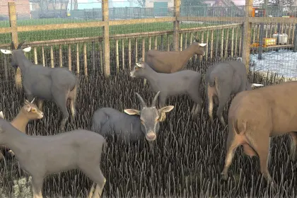 Neuer KAFENCO Shader für Farming Simulator 25 – Realistisches Bild und Atmosphäre — 4