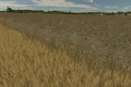 Realistic texture of ripe wheat for Farming Simulator 25