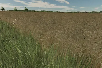Realistic texture of ripe wheat for Farming Simulator 25 — 2