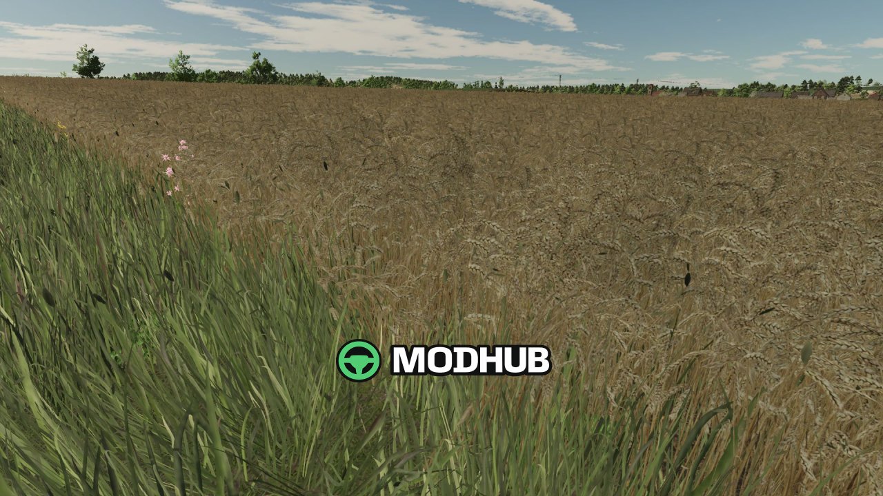 Realistic Texture of Ripe Wheat V1.0 for FS25