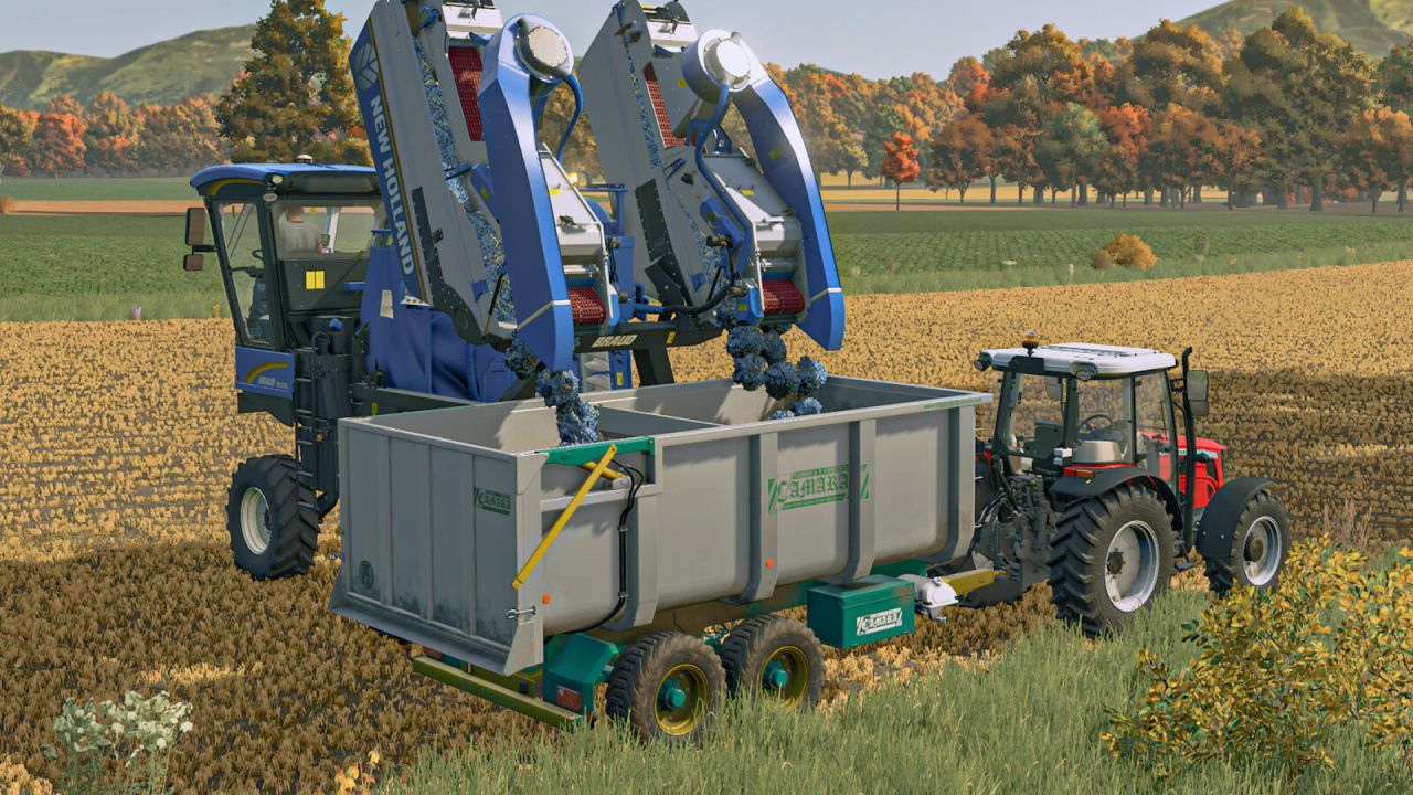 Effektives Camara Stainless Kippanhänger Pack für Trauben in FS25