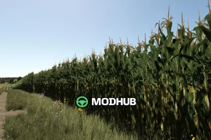 Improved Corn Plants V1.0.0.2 for FS25