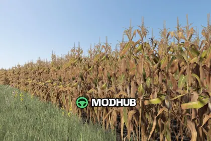 Improved Corn Plants (Second Version) V1.0.0.6 visual mod for FS25
