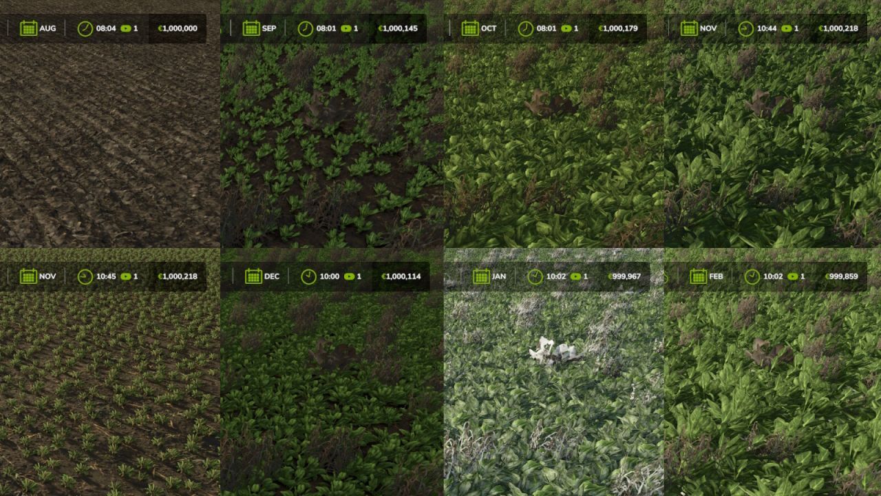 Szybki Wzrost (Fast Growth) dla Farming Simulator 25 — 3–4 Zbiory na Rok