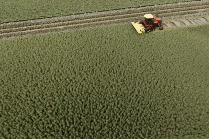 Косарка New Holland H8060 + DuraBine 416 для Farming Simulator 25 — 2
