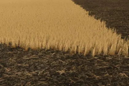 Реалістичні Текстури Зрізаної Пшениці та Ячменю (Cut Wheat/Barley) для Farming Simulator 25