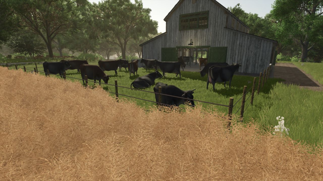 Старий корівник для Farming Simulator 25