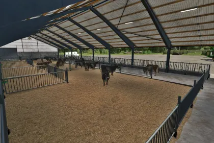 Сучасний Корівник Deep-Bedded Cowshed у Шведському Стилі для FS25 — 4
