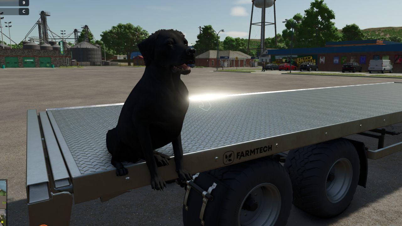 Мод Dog Companion для Farming Simulator 25