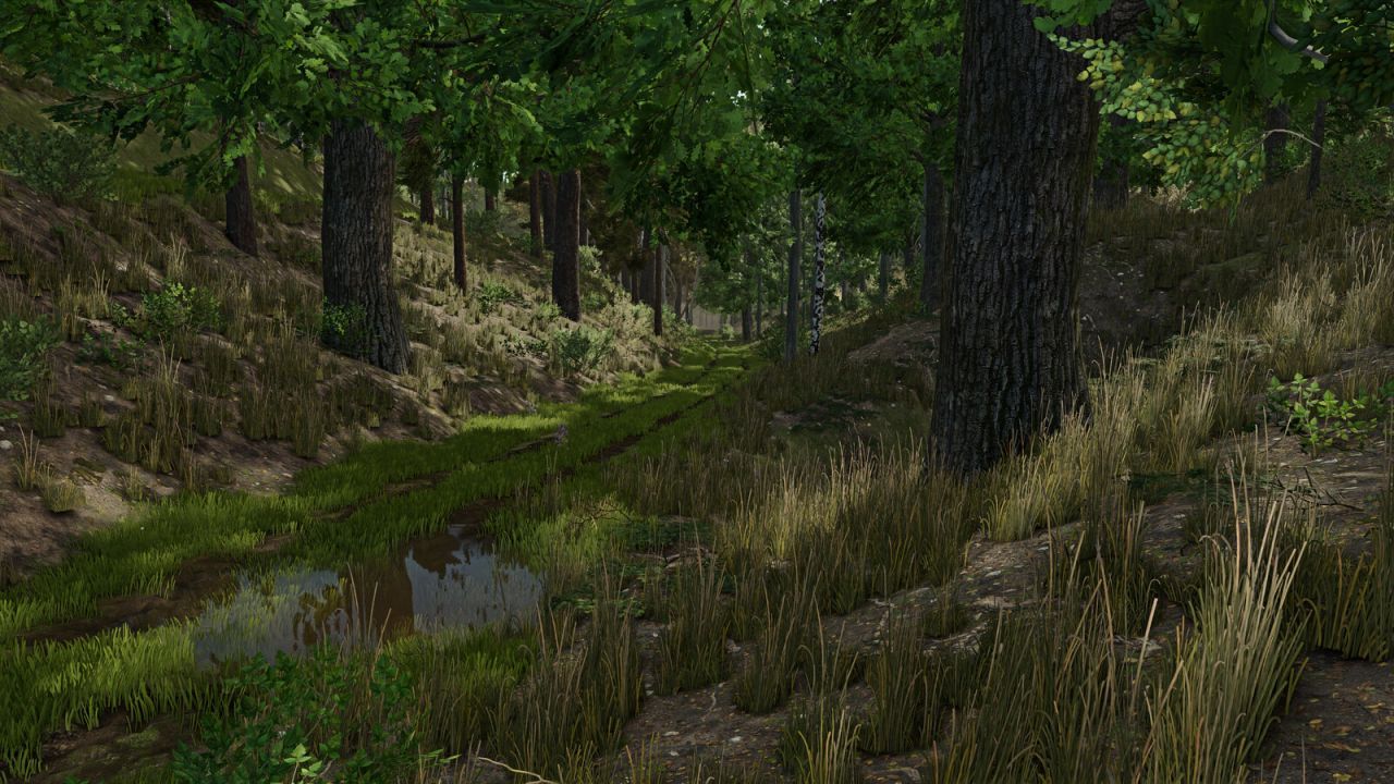 Palatinate Forest Karte für Farming Simulator 25