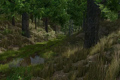 Palatinate Forest Karte für Farming Simulator 25 — 5