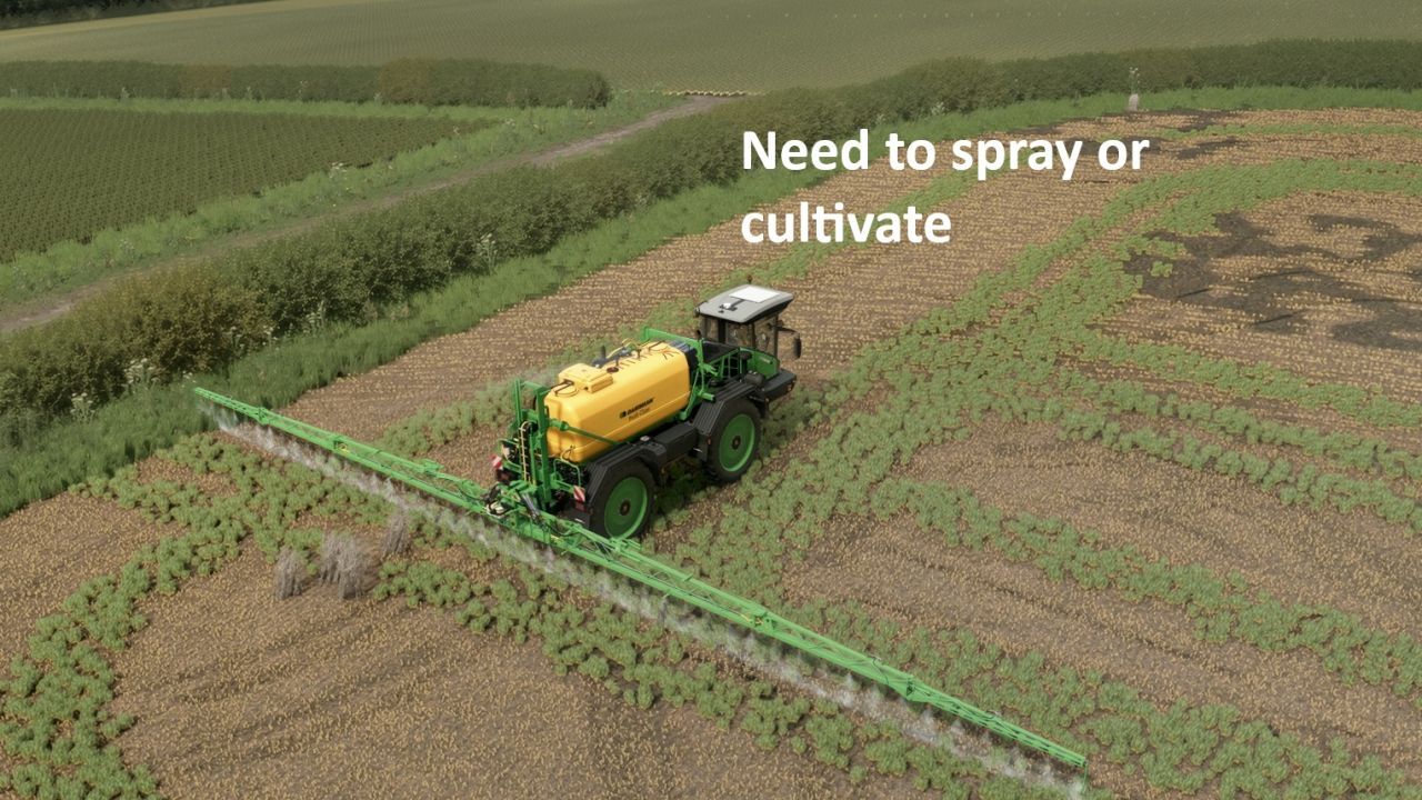 Мод самосійних культур та бур'янів для Farming Simulator 25