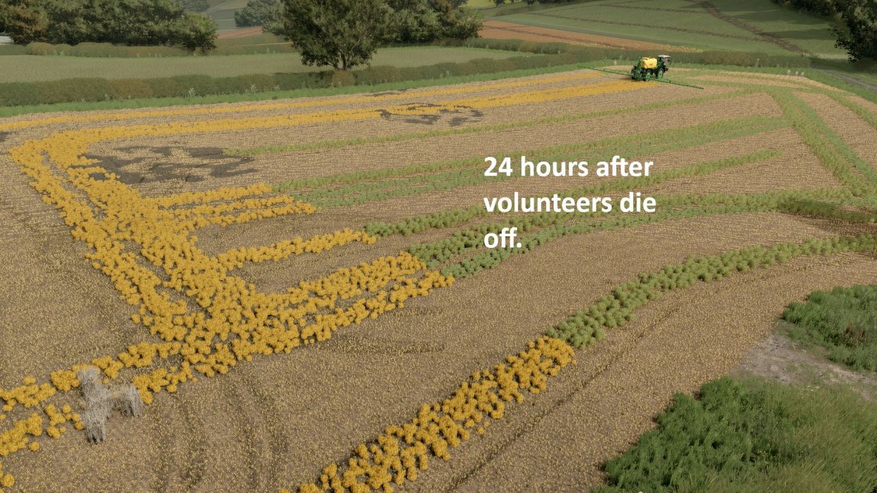 Мод самосійних культур та бур'янів для Farming Simulator 25