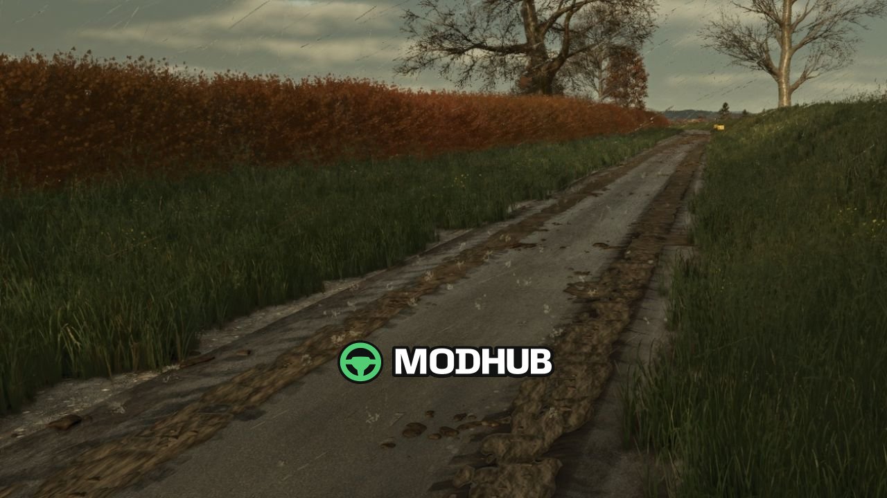 Скрипт Mud on the road V1.0 для FS25