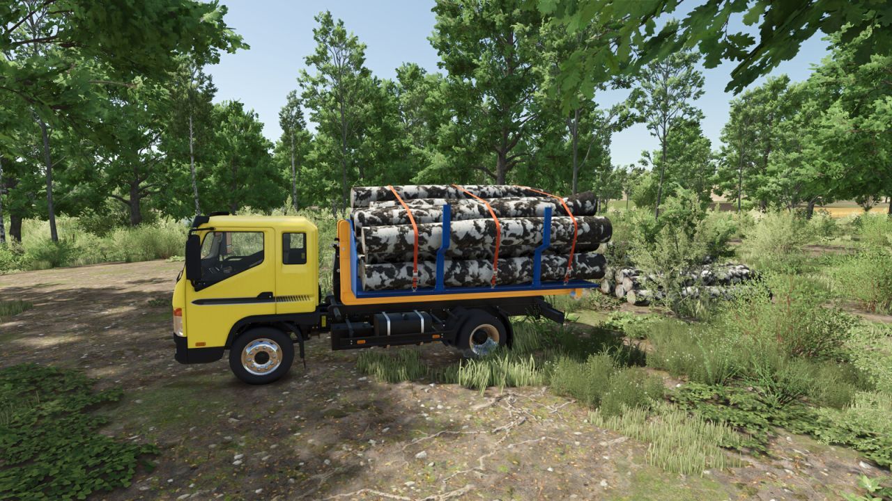 Вантажівка Lizard Dragon MultiLift для Farming Simulator 25