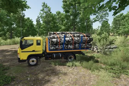 Вантажівка Lizard Dragon MultiLift для Farming Simulator 25 — 4