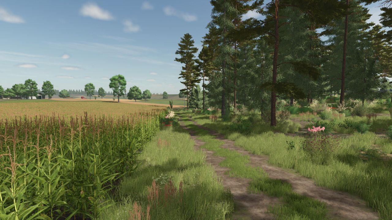 Нова Карта Cybuchowo для Farming Simulator 25 — 193 Поля, Ліси та Виробництва