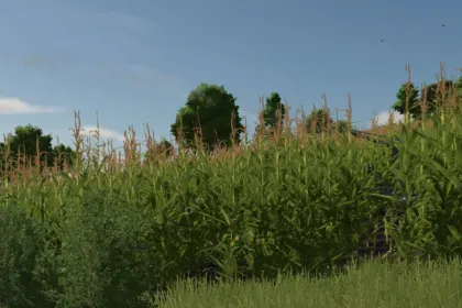 Bewässerungssystem für Farming Simulator 25 — 2