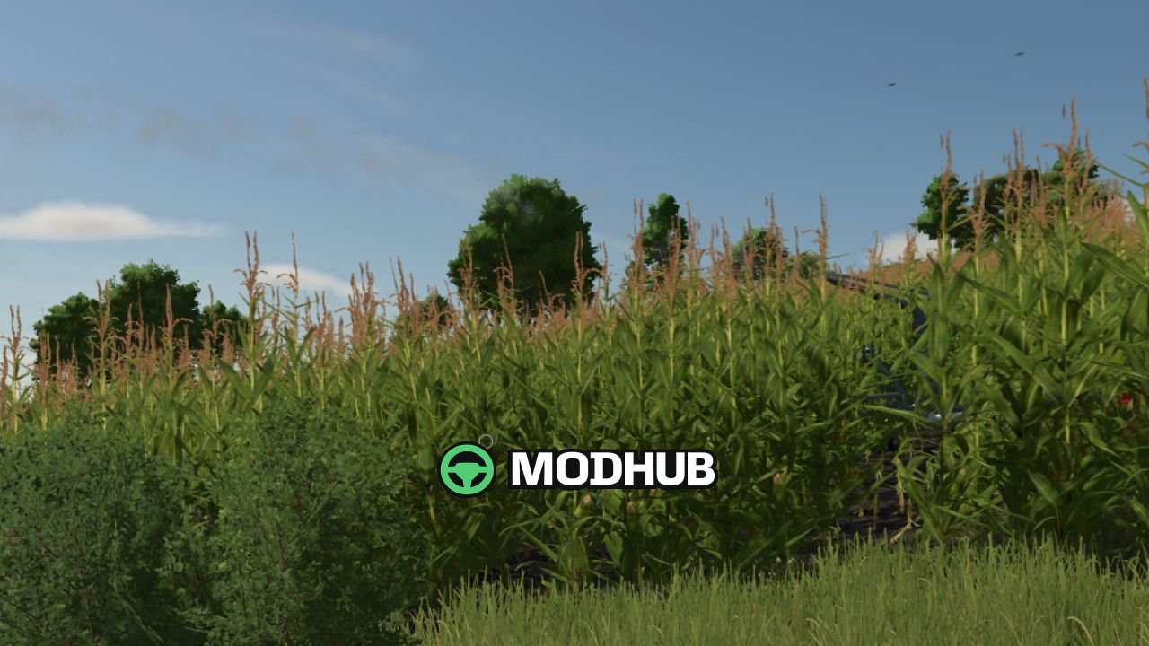 Система зрошення Irrigation System V1.0 для FS25