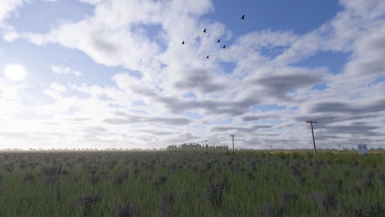 Нова Бразильська Карта Chapadão Farm для Farming Simulator 25 — Великі Поля та Агробізнес