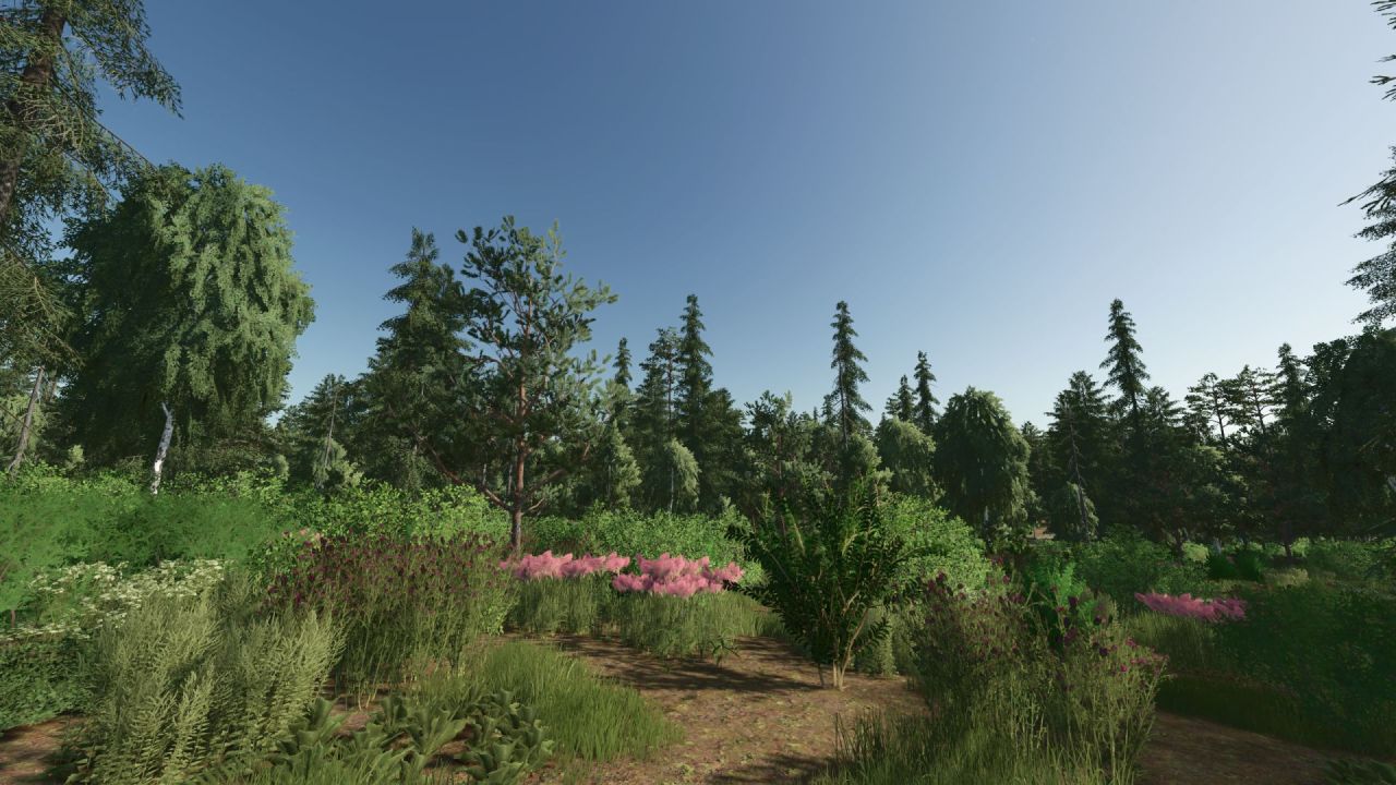 Легендарна Лісова Карта Forest Valley 2x для Farming Simulator 25 — 30 000+ Дерев і 79 Ділянок