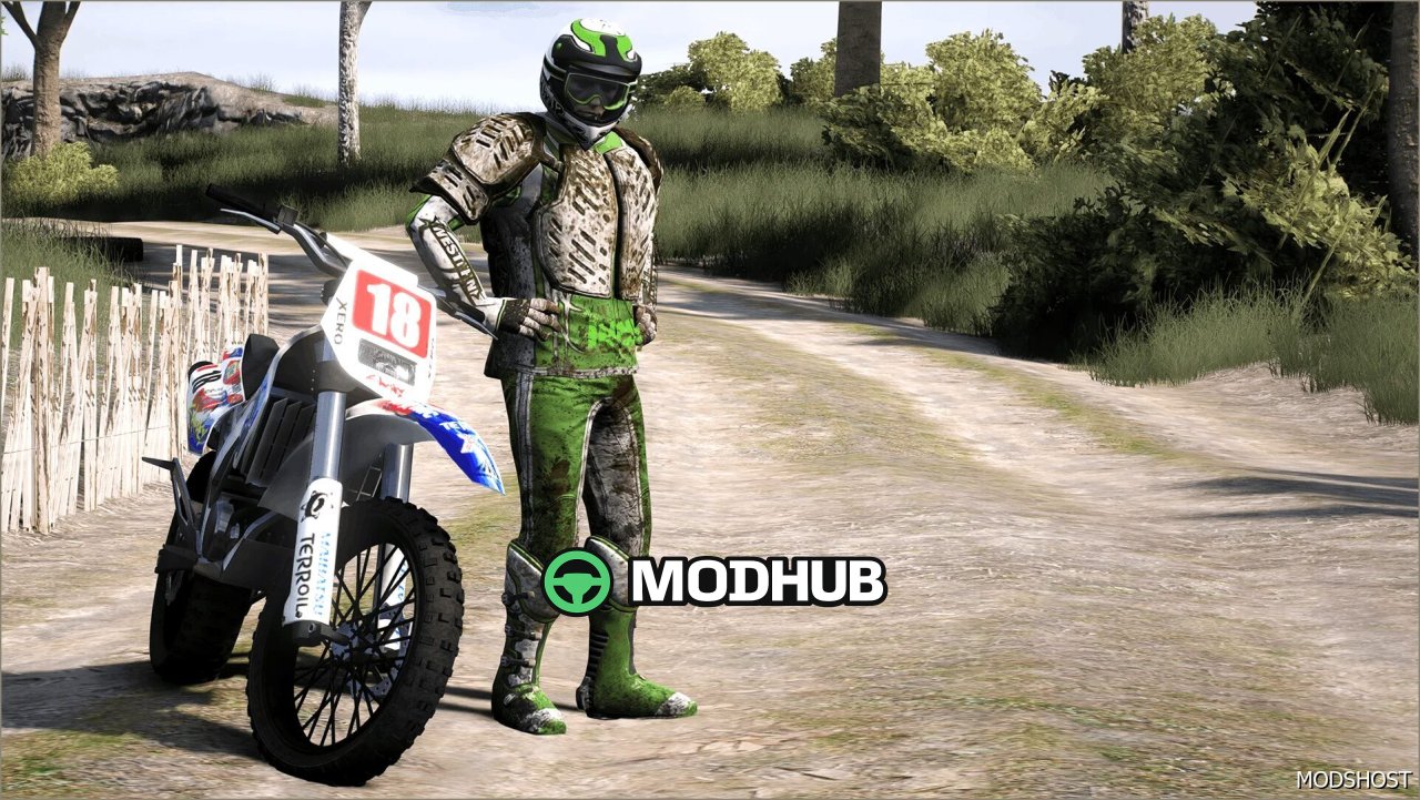 Motorcross Outfit MP Male GTA 5 Player Mod