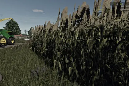 Efficient Mod for Silage Sorghum for Farming Simulator 25 — 2