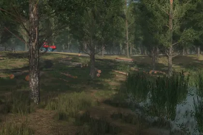 Мапа Staby Forest для Farming Simulator 25 — 3
