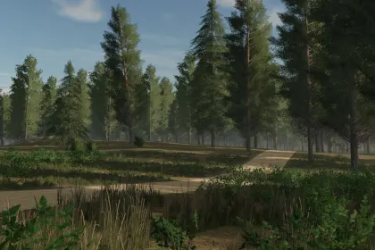 Мапа Staby Forest для Farming Simulator 25 — 4