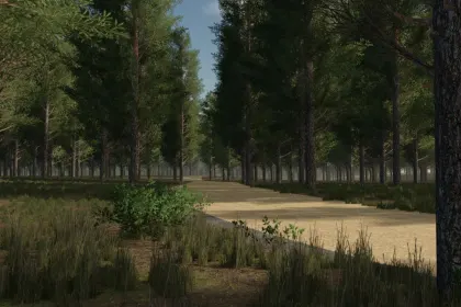 Мапа Staby Forest для Farming Simulator 25 — 5