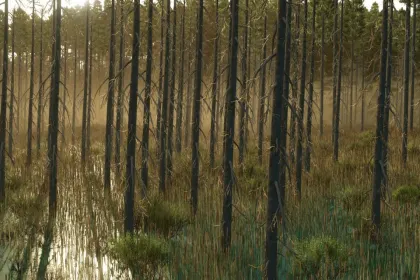 Effektive Karte Umbreon Valley für Farming Simulator 25