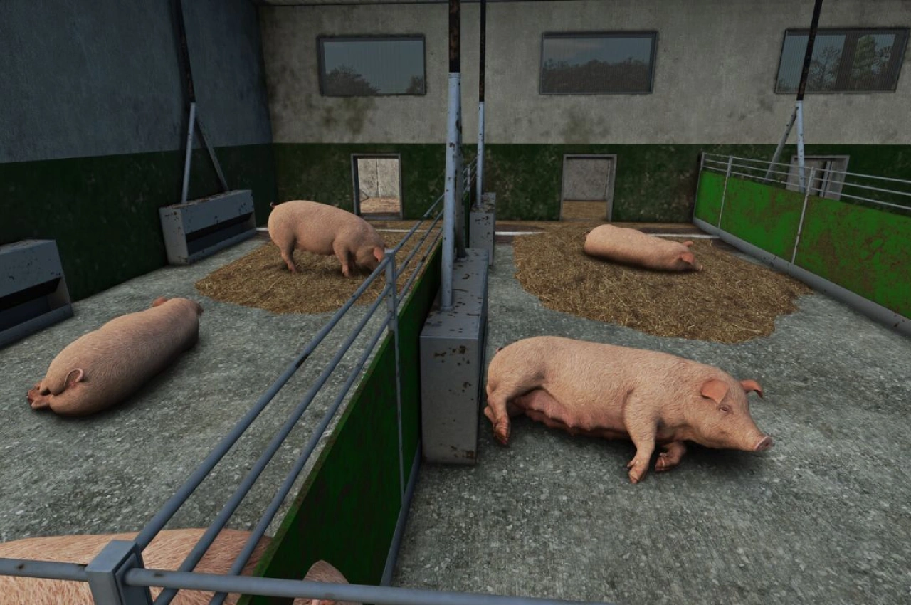 Ферма для відгодівлі свиней для Farming Simulator 25